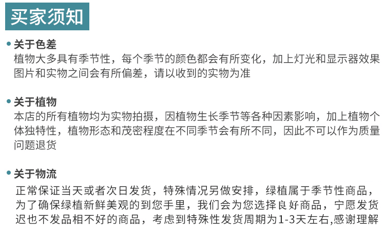 單桿發(fā)財(cái)樹養(yǎng)護(hù)知識(shí)